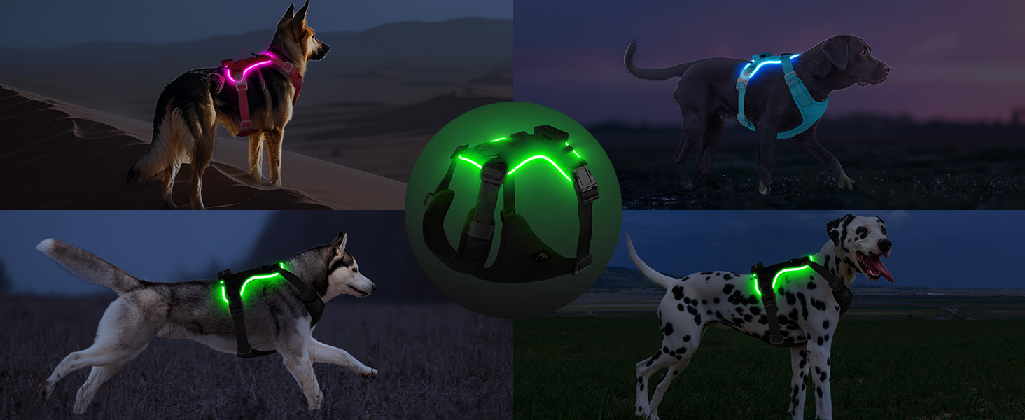 Світловідбиваючий нашийник для собак великих порід Feycig з LED підсвічуванням, акумуляторний, регульований, 3 режими світла, висока видимість (Рожевий, Medium)