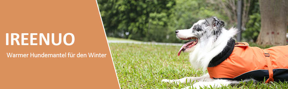 Зимовий водонепроникний одяг для собак IREENUO, тепла куртка для собак, дощовик для собак, для маленьких та великих собак, зимовий одяг для собак з петлею для шлейки та світловідбиваючими елементами (XXL)