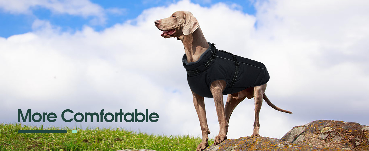 Водонепроникний теплий зимовий пуховик для собак середнього розміру Kuoser, чорний, M (Обхват грудей: 53 см, Обхват шиї: 38 см)