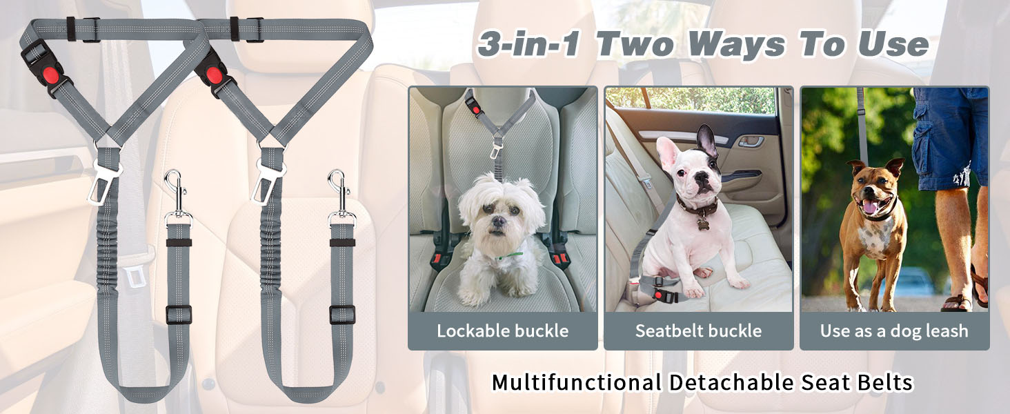 Нашийник для собак у багажник авто, 2 шт. - фіксація, безпека, комфорт під час подорожей, для всіх порід, з еластичною амортизацією та міцними карабінами (сірий)