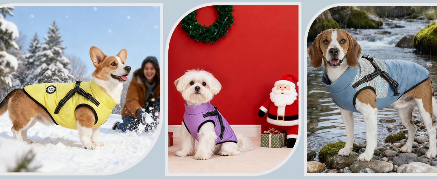 Водонепроникний теплий жилет для собак Французького бульдога, жилет для собак з кріпленням для шлейки, різні розміри, фіолетовий, розмір 10 (обхват грудей 31-36 см)