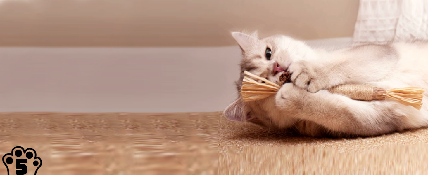 Інтерактивна іграшка для котів CUUOOT 7-в-1: джиґлер, іграшка-пір'їнка, катенок, мотузка для кусання, набір з котячою м'ятою.