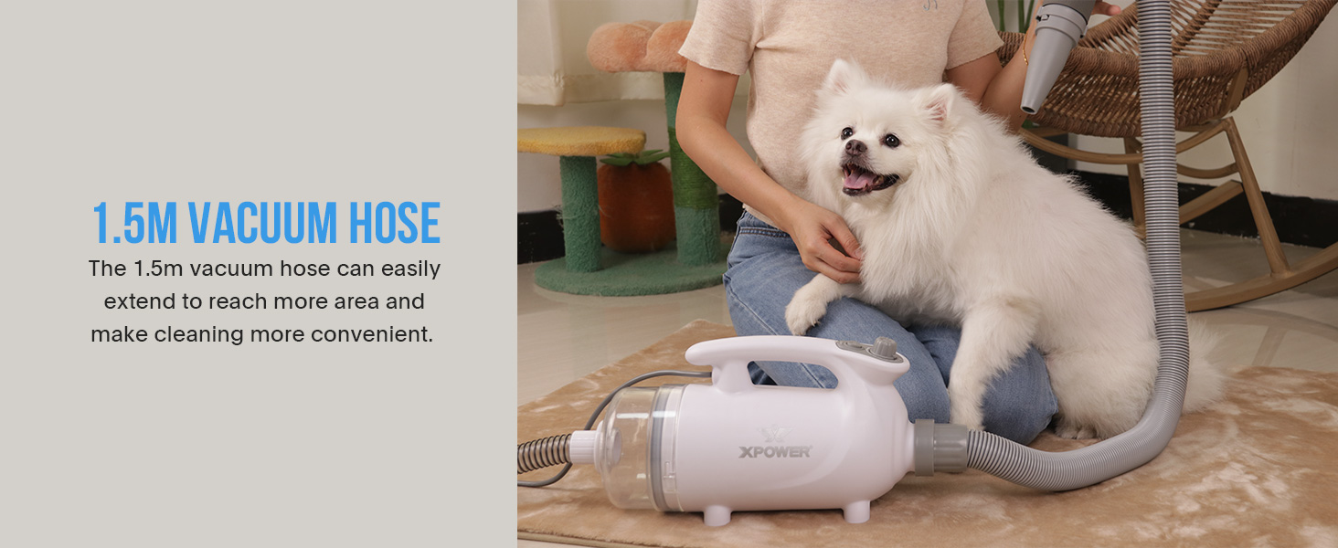 XPOWER B-117: Фен-пилосос для собак та котів - видалення шерсті, тиха та безпечна грумінг-система