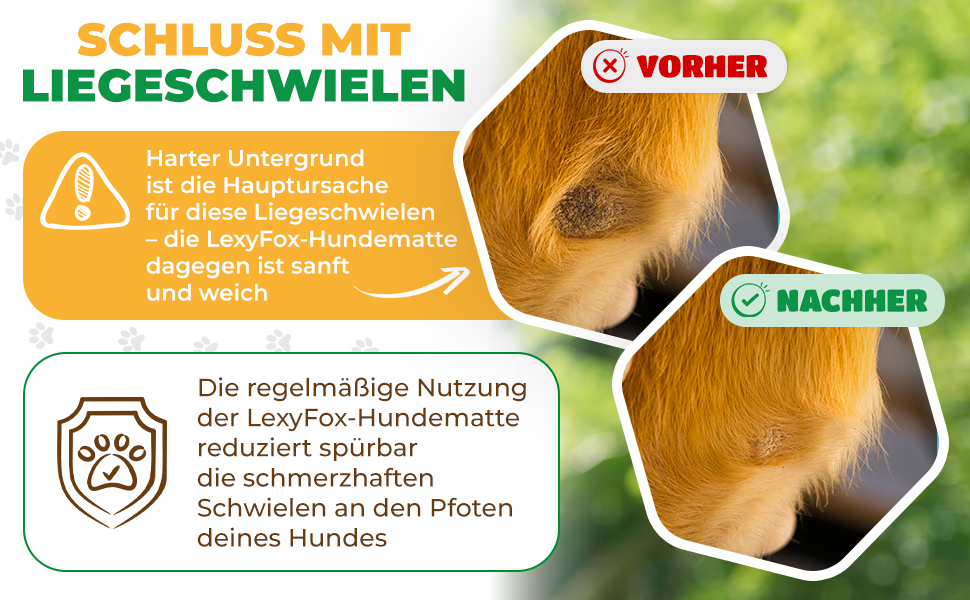 Водонепроникний килимок для собак | Зручний у подорожах, ізольований, з неслизькою поверхнею | Підходить для кемпінгу та відпочинку | Легкий, миючий, для собак