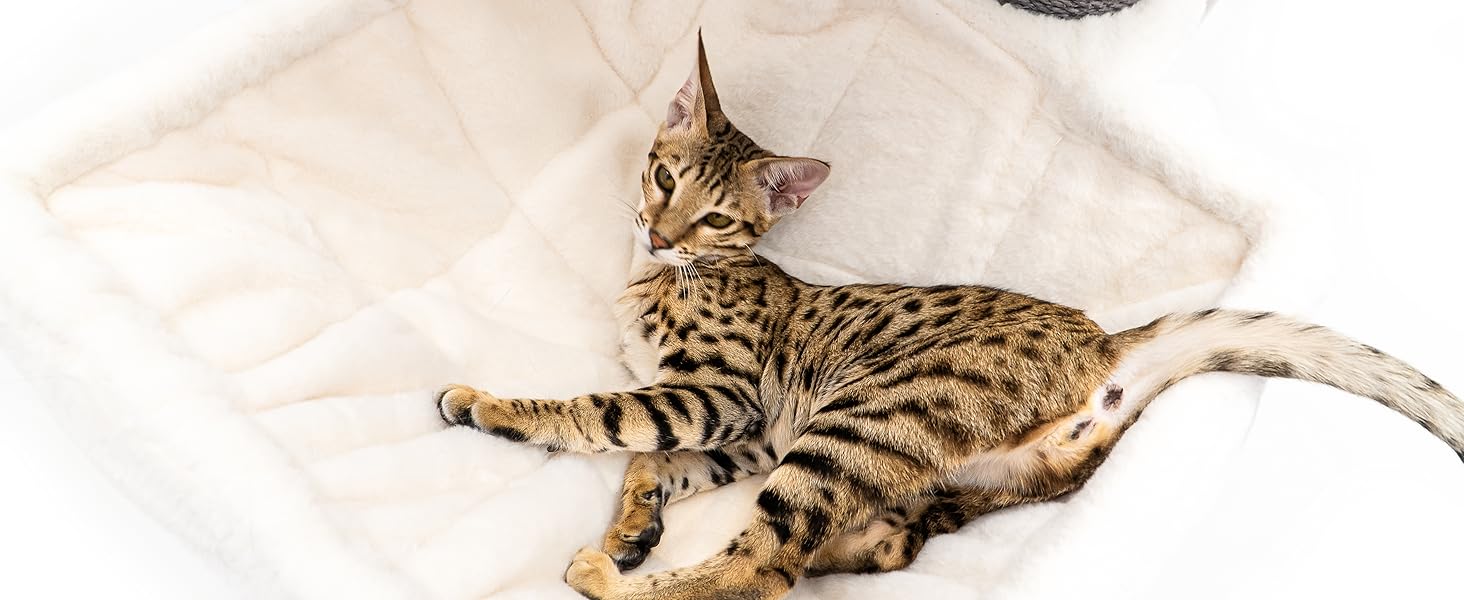 Драбина для котів Petrebels Maine Coon XXL, 210 см, з сизалю, бежева