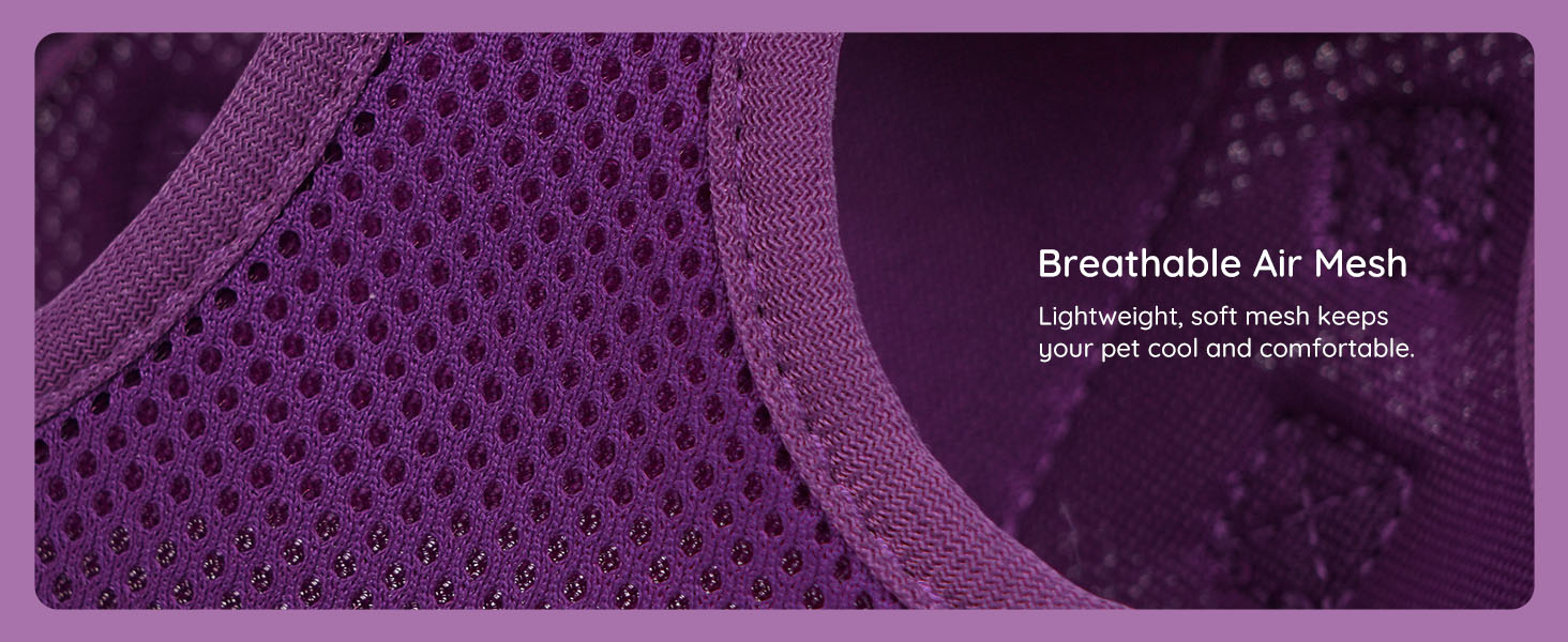 Шлейка для собак BELLA & PAL для маленьких собак з повідком, Step-in шлейка з Air Mesh, анти-тяга, світловідбиваюча, дихаюча, для цуценят, котяча шлейка, XS (XXS (28-30см обхват грудей), фіолетова)