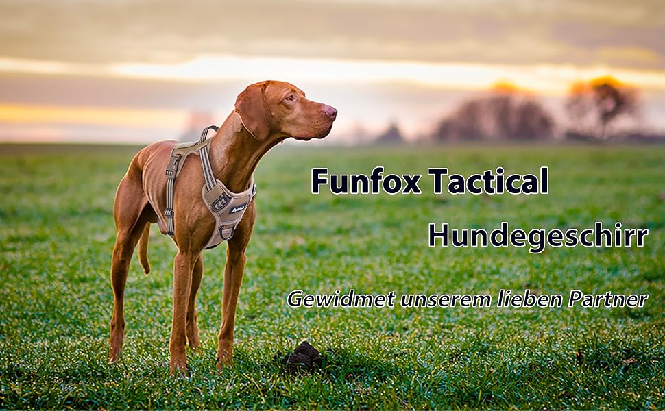 Шлейка для собак Funfox великих порід, тактична, анти-тяга, дихаюча, камуфляж (S, коричнева)