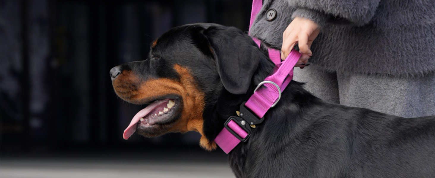 TSPRO Преміум нашийник для собак з ручкою, тактичний, товстий, регульований, для середніх та великих собак (Помаранчевий L), розмір ручки L, регулювання 44.5-62.2 см