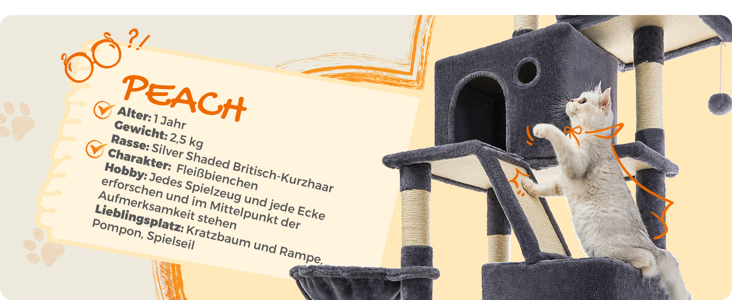 Котячий будиночок Feandrea XXL: багатоповерховий котячий комплекс 206 см, з 13 стовпчиками для шліфування, 2 платформами, 2 печерами, гамаком та іграшками, сірий