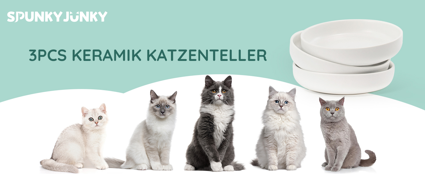 Набори мисок для котів SPUNKYJUNKY 3 шт. з кераміки, чорного кольору (300 мл)