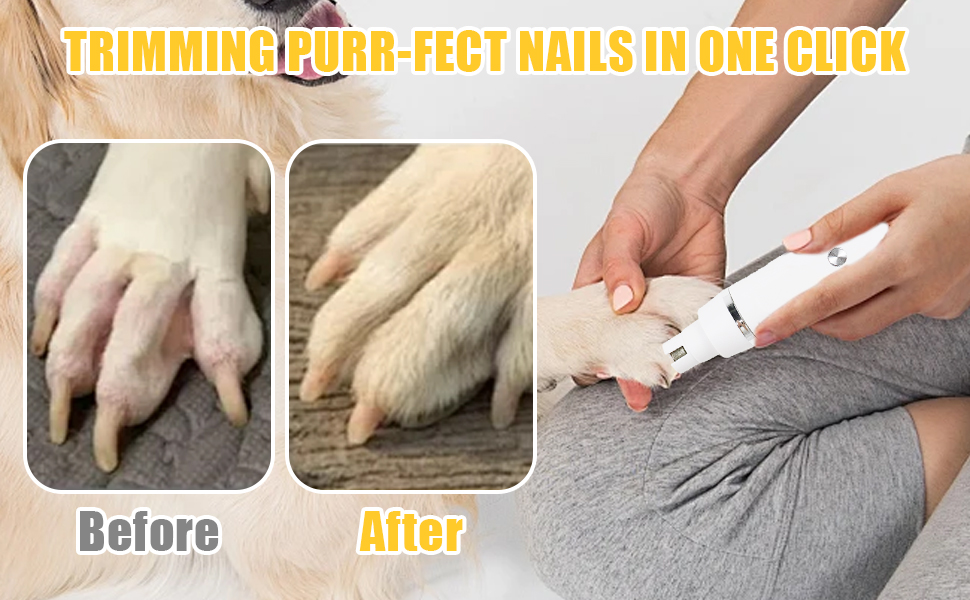 Набір для догляду за тваринами 4-в-1: машинка для стрижки собак та котів, триммер для лап, точилка для кігтів, машинка для стрижки шерсті | USB-C | для тіла, лап, очей, вух