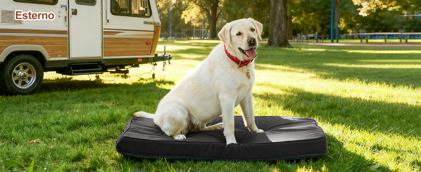 Ортопедичне ліжко для собак на зиму та літо з знімною, пральною наволочкою, 104*68*8 см, сірого кольору