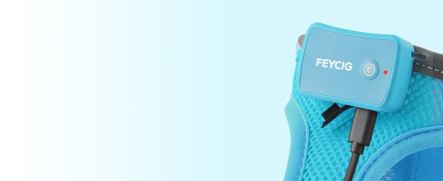 Світлодіодне шлейка для собак Feycig з LED підсвічуванням, перезаряджувана, для цуценят та собак середніх розмірів, дихаюча, синього кольору (Large)