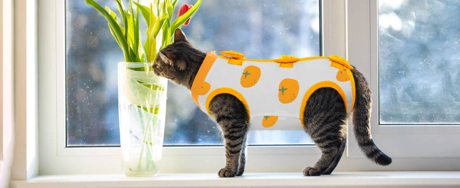 Тільце після кастрації для котів, медичний одяг, хірургічний костюм, одяг для відновлення після операції (Помаранчевий, S)