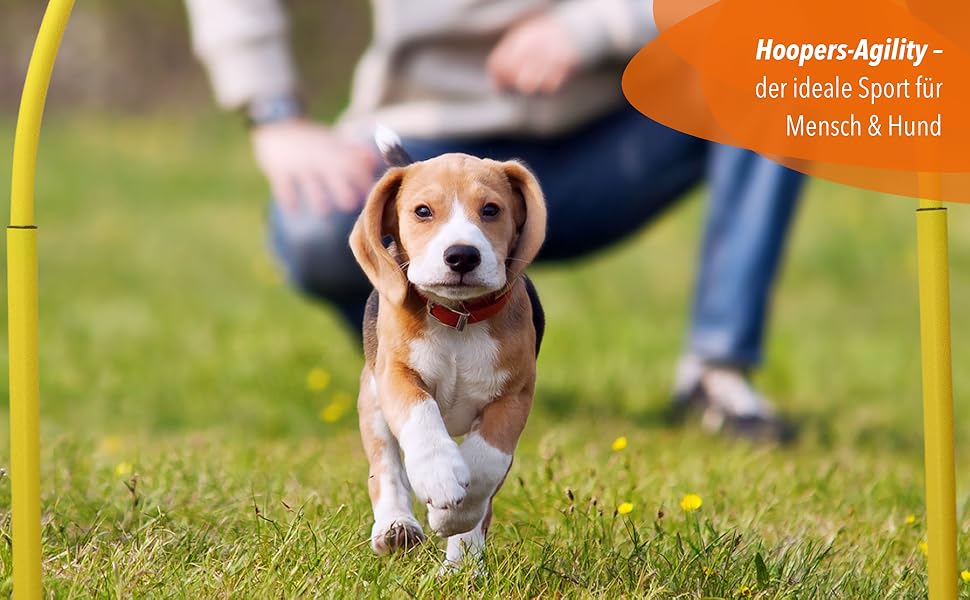 SPORTIKEL24 Superhund Hoopers Hoop – іграшка для аджиліті собак, кільця для хоперс, пластик, блакитна основа з кольоровими арками, VDH-сертифікована, гнучка, стійка до погодних умов (блакитний/жовтий)