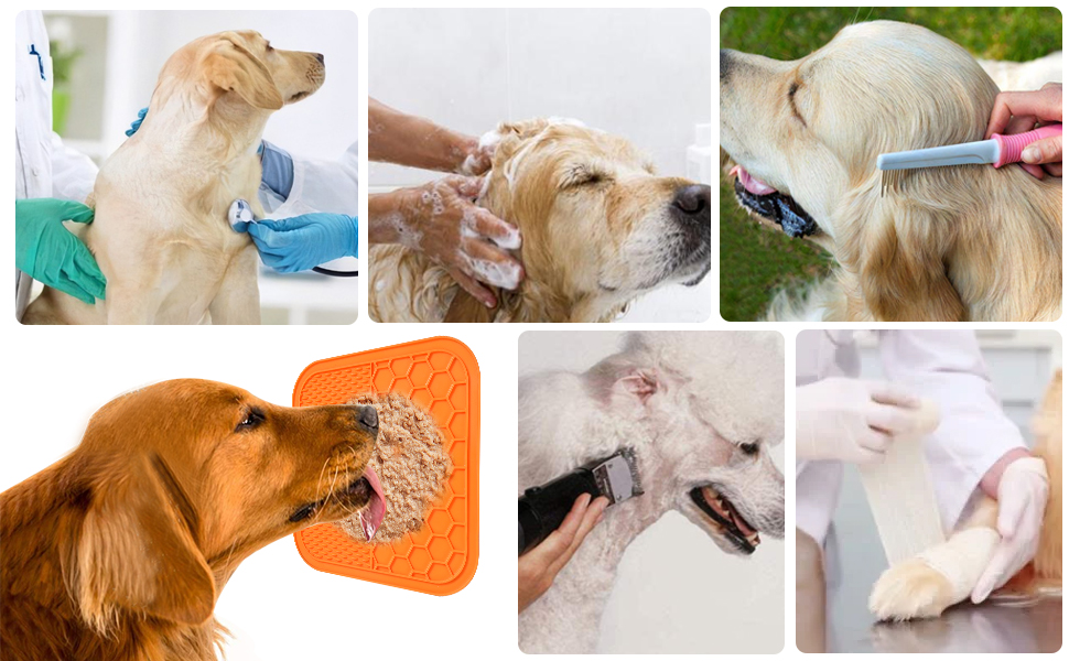 Силіконовий лизун для собак та котів AiQInu, 2 шт. з лопаткою, повільний годівник, для грумінгу та догляду за кігтями