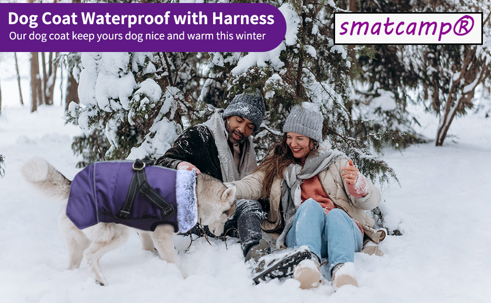 Водонепроникний теплий одяг для собак - зимова куртка з отвором для шлейки, для чихуахуа, французького бульдога, собак маленьких та середніх порід (11, 3)