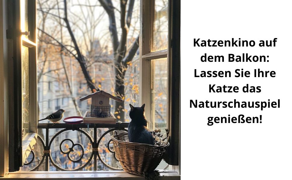 Годівниця для птахів і поїлка для балкона (Натуральна)