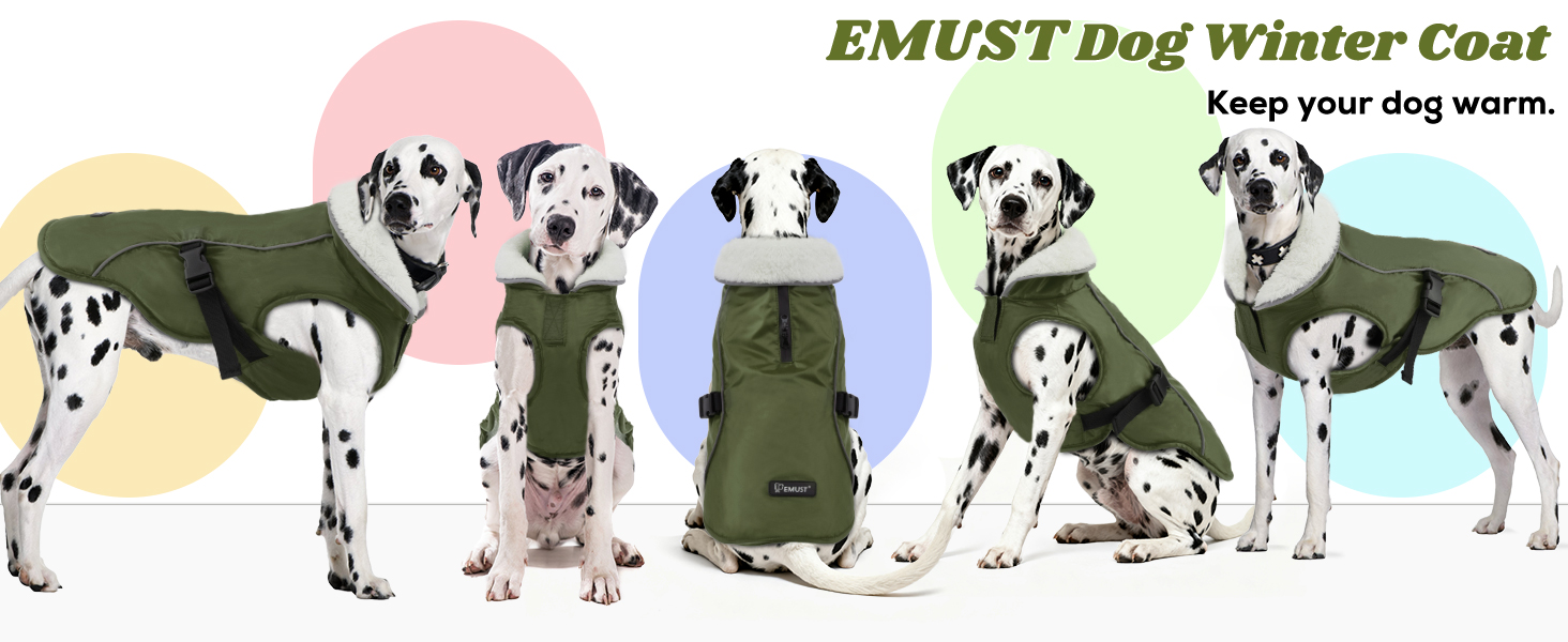 Зимовий теплий намет для собак EMUST, водонепроникний, регульований, для маленьких, середніх та великих собак, зелений, розмір L, блакитний