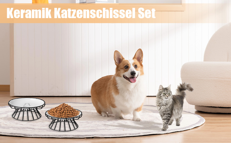 Підвищені годівниці для котів (2 шт.) - металеві миски з підставкою, 15 см, для кошенят та дорослих котів