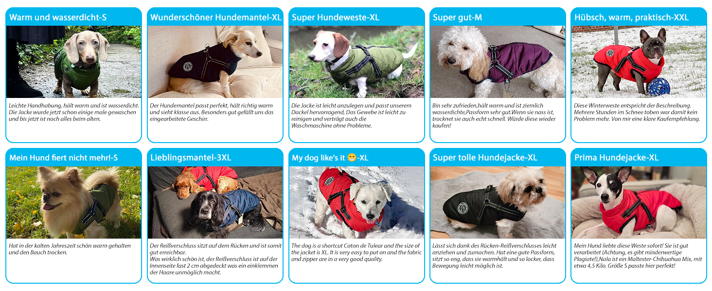 Зимова жилетка для собак, тепла жилетка для тварин, безрукавка для собак, жилетка для собак XL, зелена