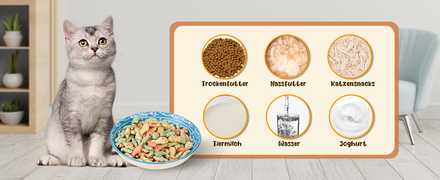 Набори мисок для котів з кераміки Katzennäpfe - 6 шт. Миски для корму котів, широкі та плоскі, місткістю 250 мл, білий колір, стиль мінімалізм, безпечні для мікрохвильовки та мийки