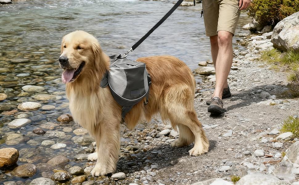 Рюкзак для собак | Великий рюкзак для прогулянок, подорожей та перевезення | З кишенями та регульованими відділеннями