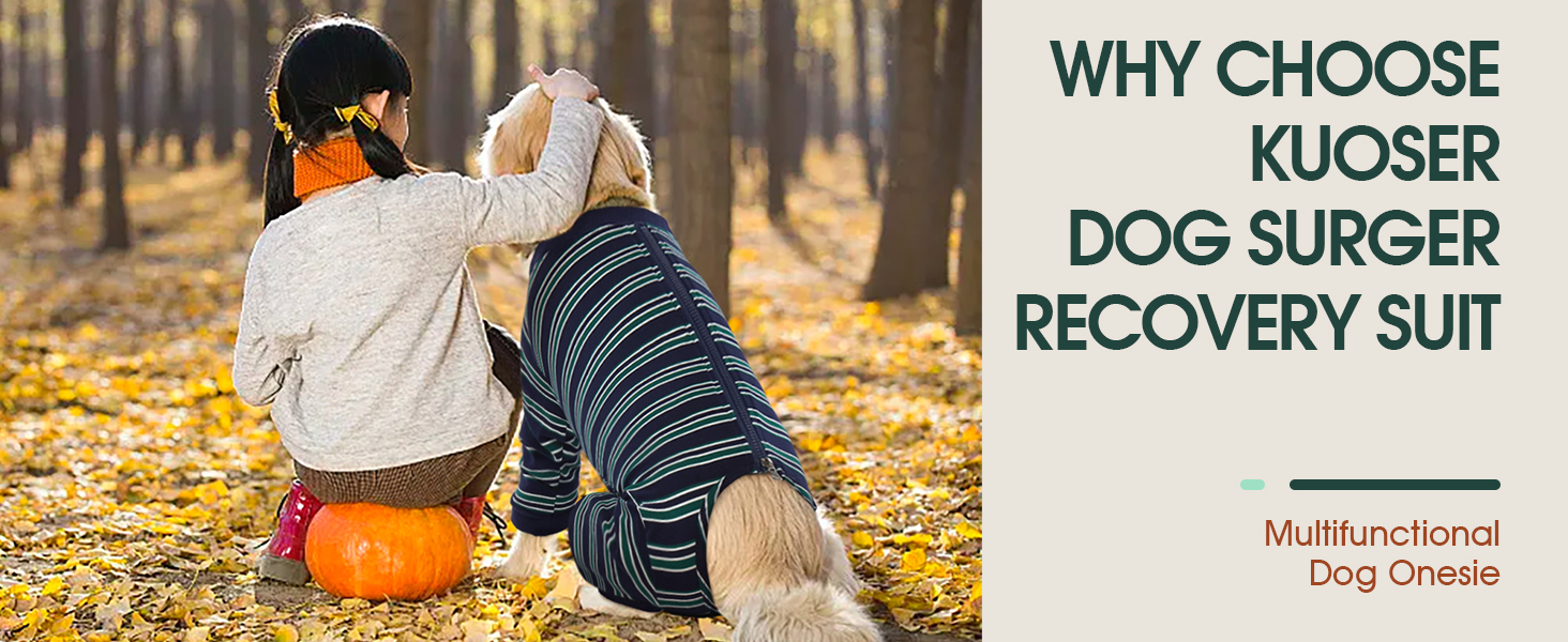 Комбінезон для собак після операції, для великих собак, камуфляж, XL (спинка 49 см, груди 71 см)