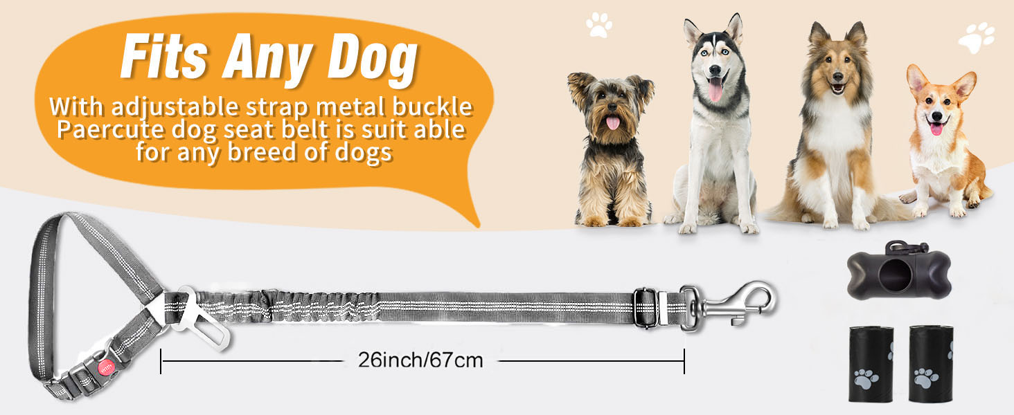Нашийник для собак у багажник авто, 2 шт. - фіксація, безпека, комфорт під час подорожей, для всіх порід, з еластичною амортизацією та міцними карабінами (сірий)