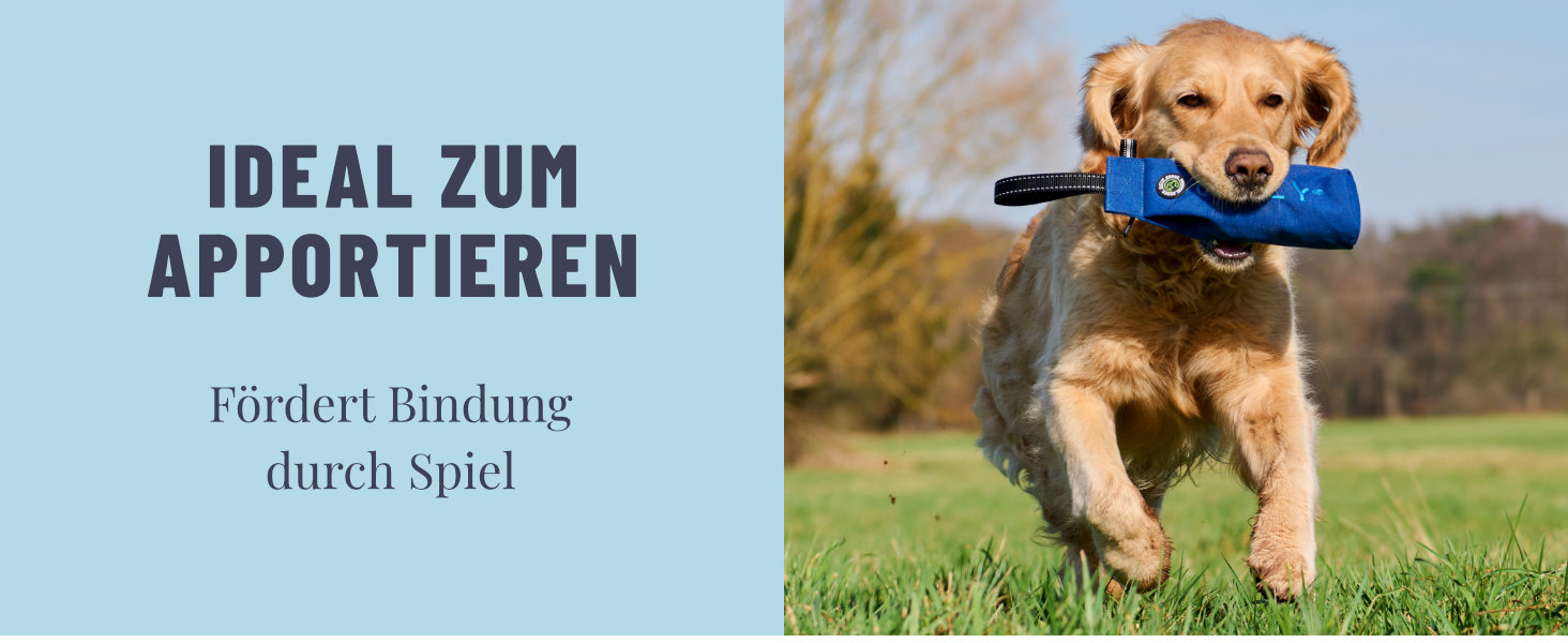 GIZZY® Оригінальний Futterdummy для собак: міцний мішечок для корму для всіх порід | Тренування з ласощами | Аксесуар для собак (Помаранчевий)