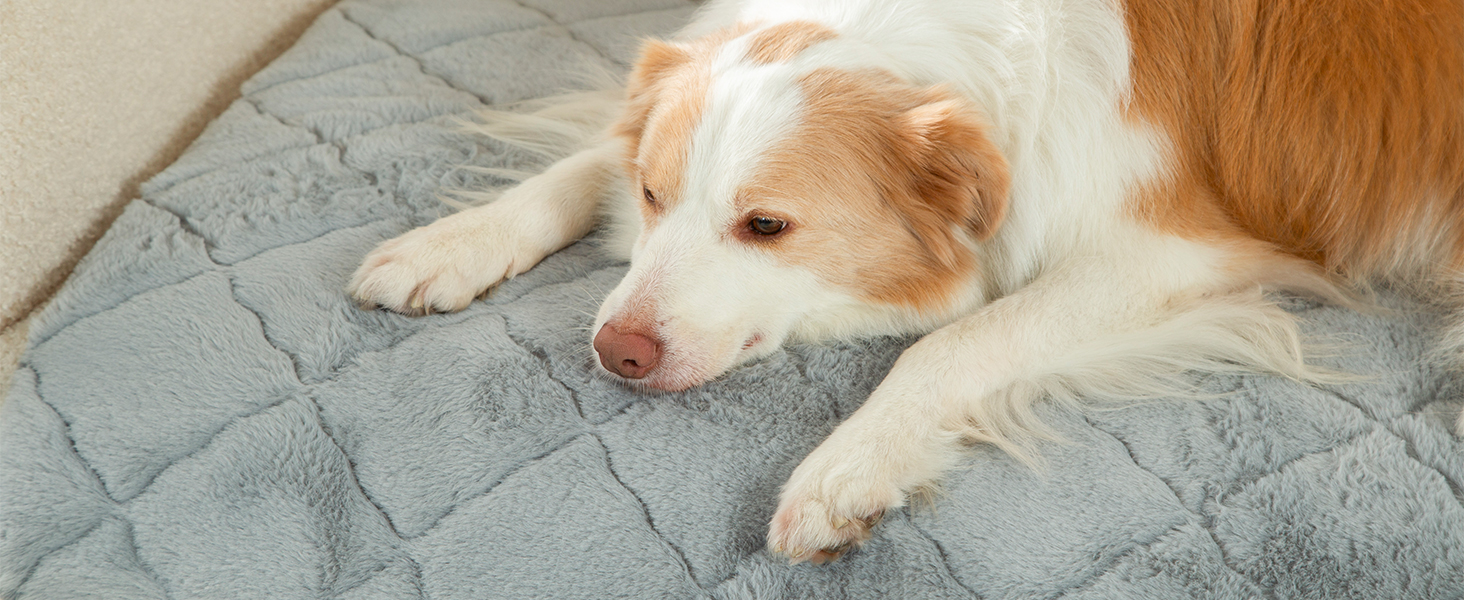 М'який килимок для собак, тепла ковдра для котів та собак, 75 x 50 см, M, м'яка підкладка, можна прати в пральній машині, неслизький, багатофункціональний, сірий