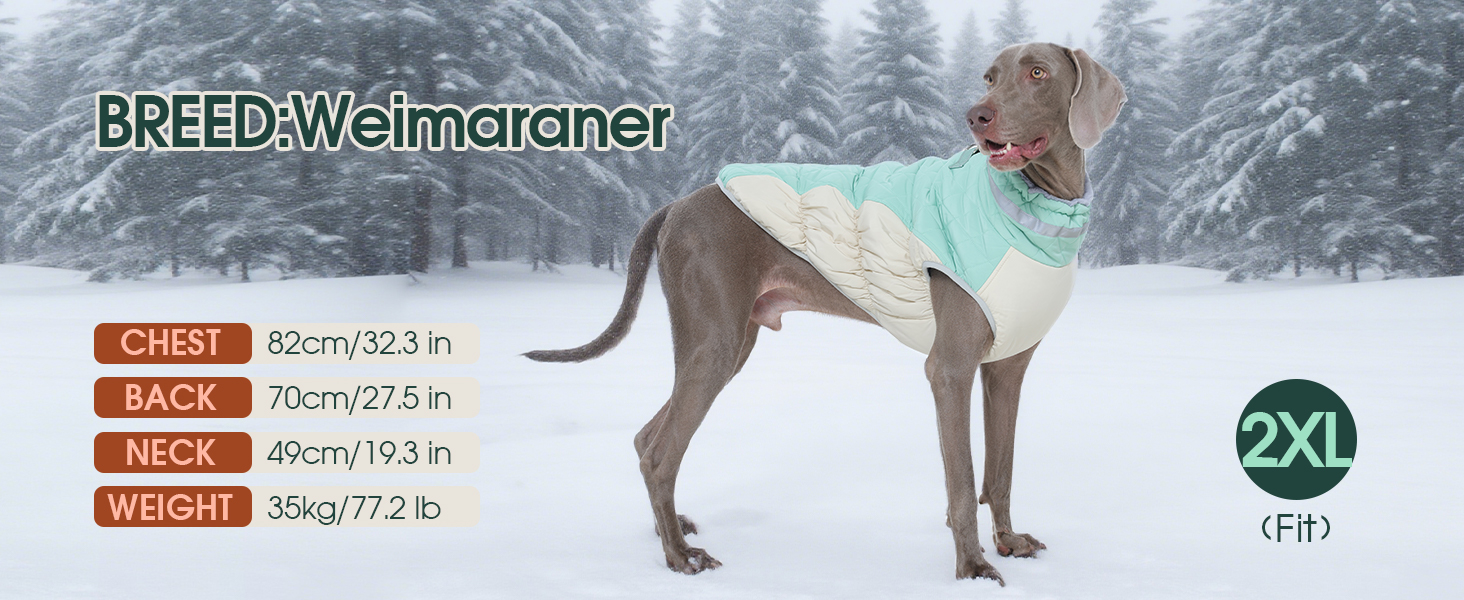 Водонепроникна куртка для собак великих порід Kuoser, тепла зимова жилетка для собак, чорна, XL