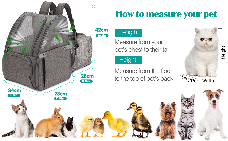 PETCUTE Рюкзак для собак та котів, дихаючий, з внутрішнім ремінком безпеки, розкладний, з бічними кишенями, для маленьких собак та котів, червоний