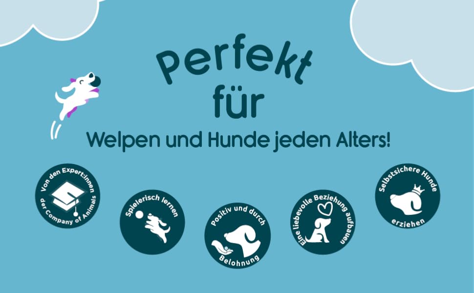 Сумка для дресирування собак Coachi Pro Train & Treat, Marineblau & Hellblau