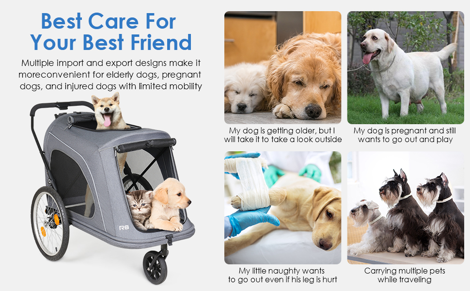 Beberoad 2-в-1 Причіп для собак на велосипед та візок, складаний, до 45 кг, R8 (Чорний)