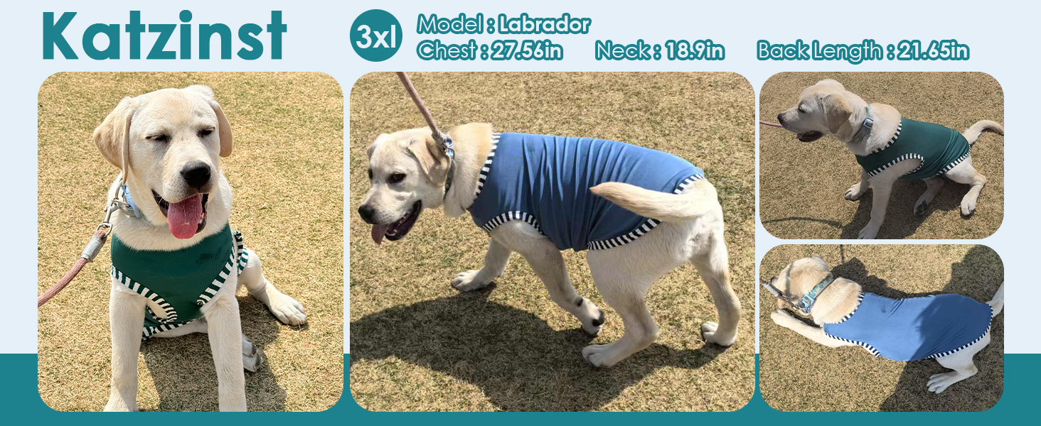 Сорочка для собак Katzinst (2 шт.) - сонцезахист, дихаючий матеріал, для середніх собак, французького бульдога, розмір L (зелений хакі)