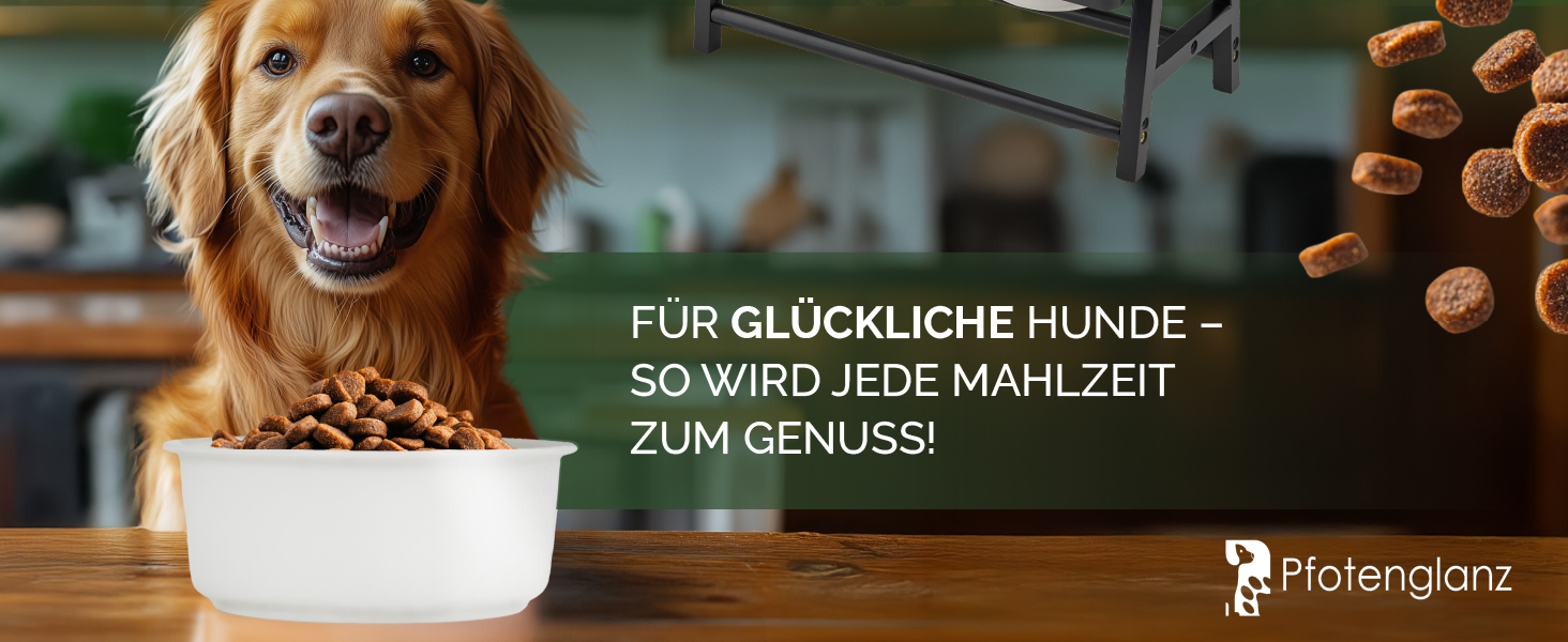 Керамічна годівниця для собак - велика миска для корму 1250 мл. Миска для їжі та води для собак та котів