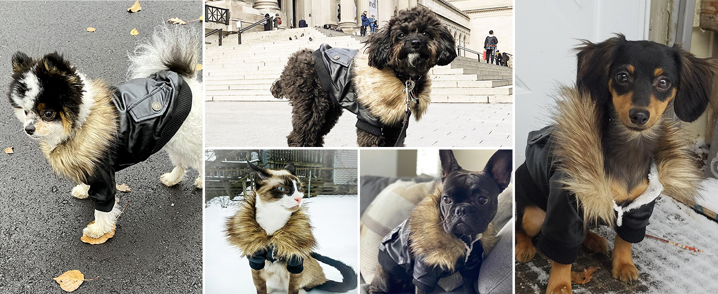 Теплий зимовий одяг для собак: флісова куртка-жакет для малих та середніх собак, M