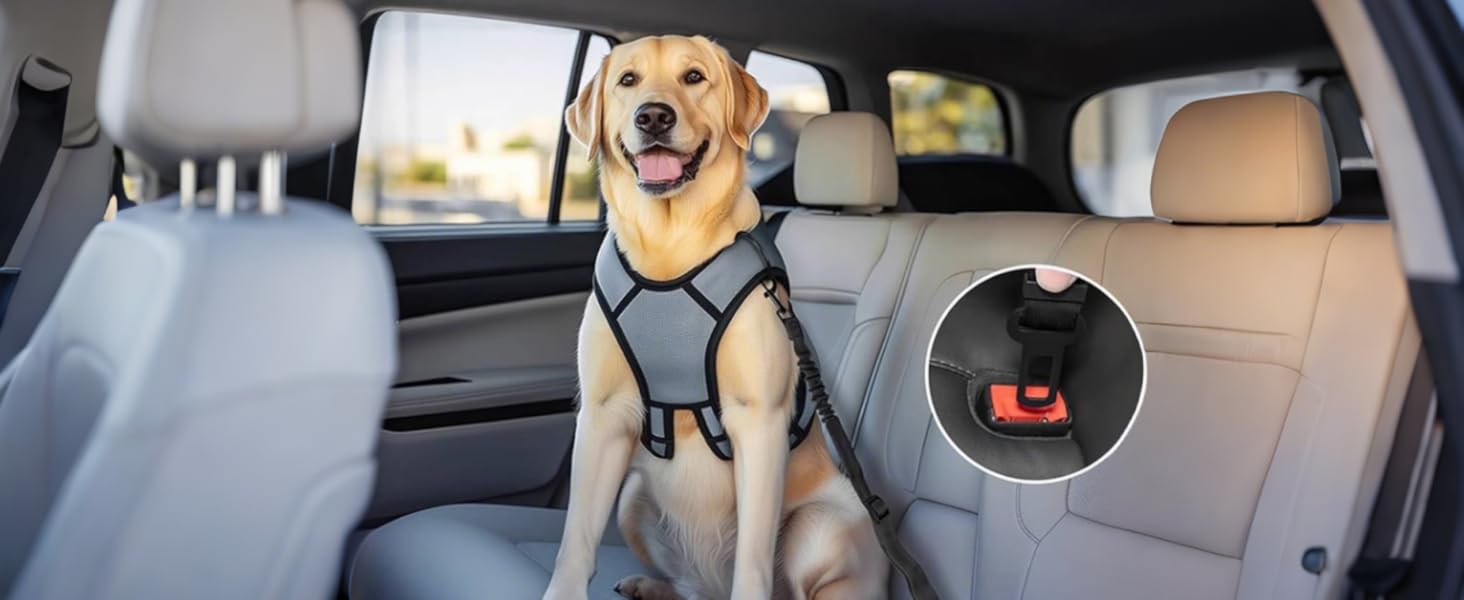 Ремінь безпеки для собак в авто: 2 шт., чорний, 60 см, з регулюванням та амортизацією