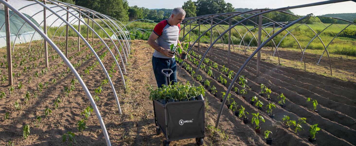 Складаний візок Bollerwagen 120L, до 120 кг з дощеміцким покриттям, тримачем для напоїв, світловідбиваючими смугами. Ідеальний для собак, покупок, кемпінгу, пляжу, транспортування та відпочинку на природі.