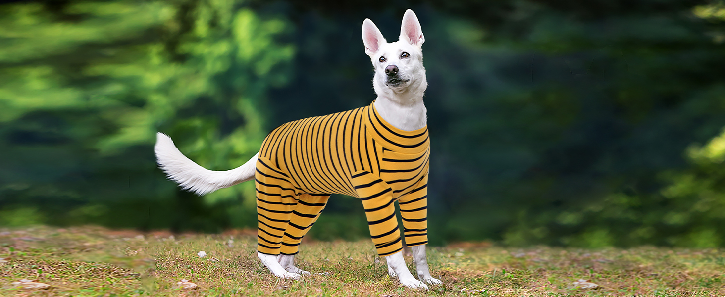 Корсет для собак після операції, після кастрації, для собак, з ніжками, піжама для маленьких та середніх собак, зелений XS