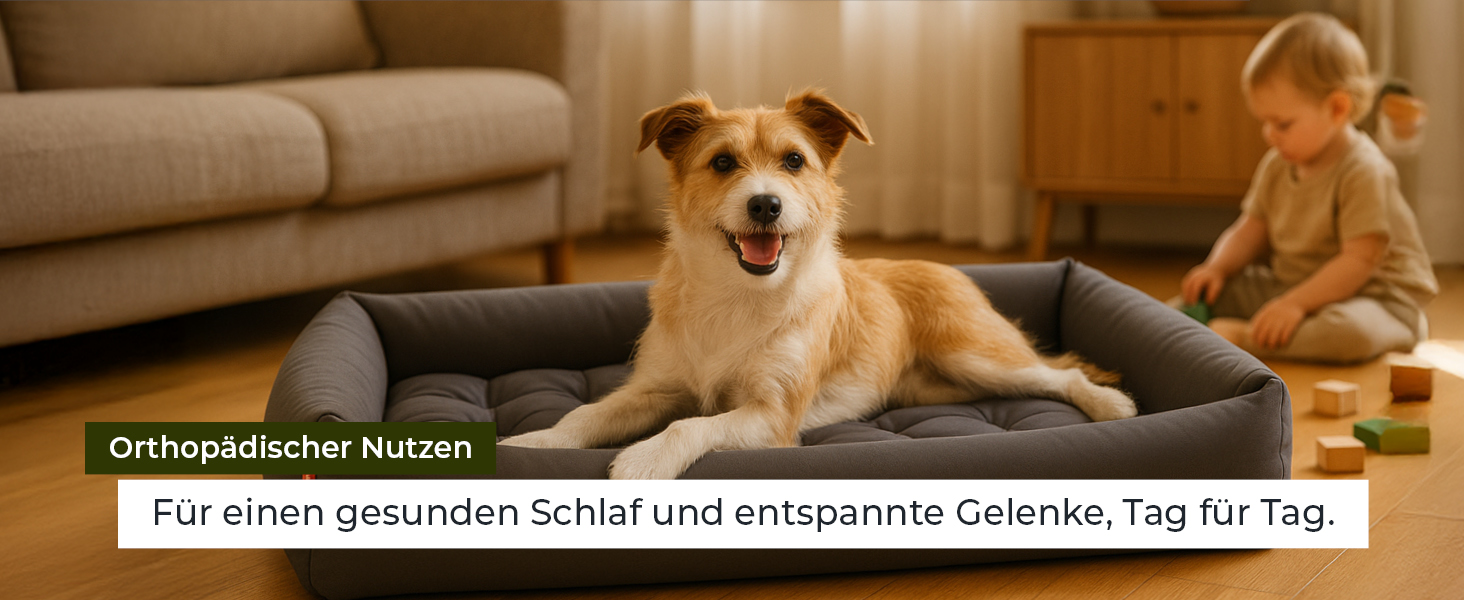 Ортопедичне ліжко для собак Doctor Bark - миється до 95°C, гігієнічне, без запаху, з м'яким коржем для собак середніх порід (M - 80x70 см, світло-сірий)