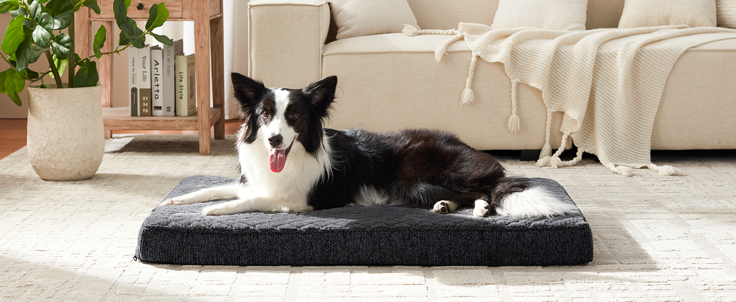 Ортопедичне ліжко для собак JOEJOY, 61x43x9 см, сіре - м'яке, з неслизьким дном