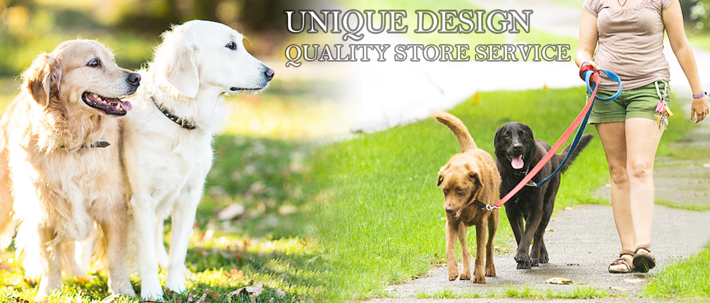 Нашийник для собак з червоної шкіри - якісний, м'який, з відбиваючими елементами та золотистою блискавкою для собак малих, середніх та великих порід