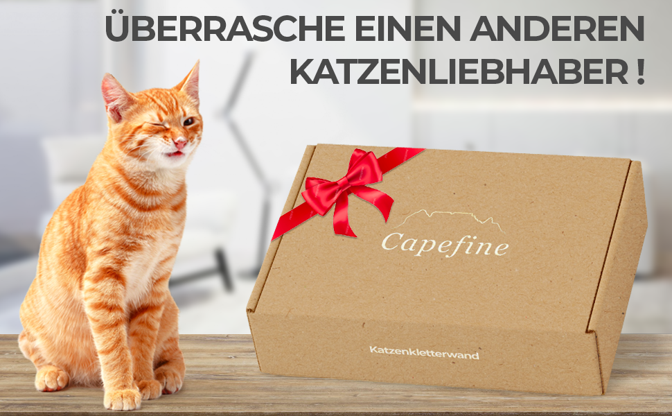 Котяча настінна стінка Capefine з лежаком і драбиною – меблі для котів, настінний комплекс, настінний когтеточка, полиця для кота
