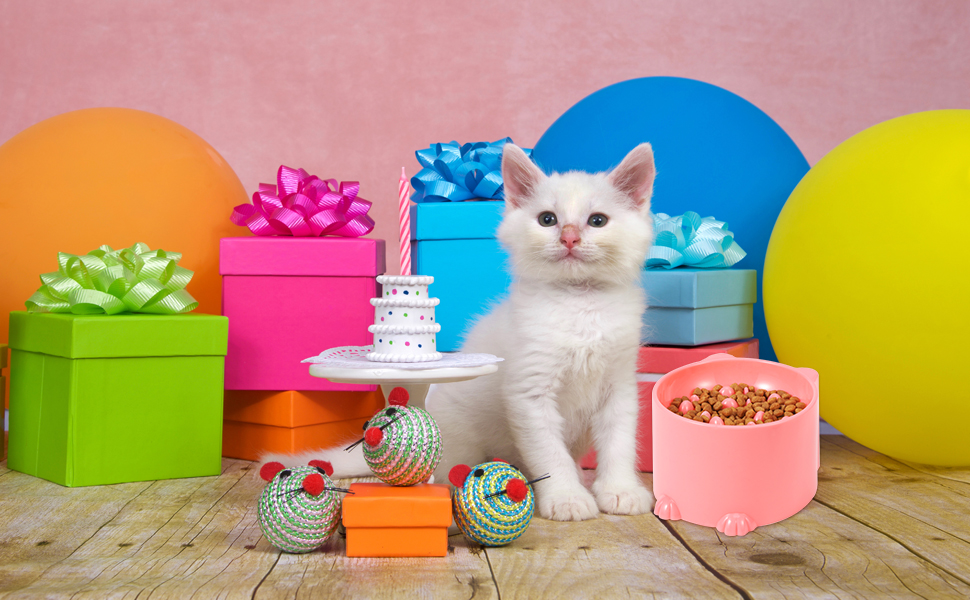 Підвищені миски для котів Heyu-Lotus: нахилені, для повільного годування, ергономічні, для корму та води