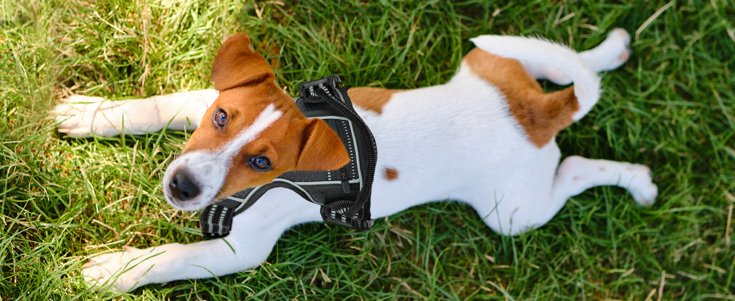 Шлейка для собак середніх порід Bluzelle з ручкою та кишенею для GPS-трекера, світловідбиваюча, дихаюча, зелена (L, чорний 3)