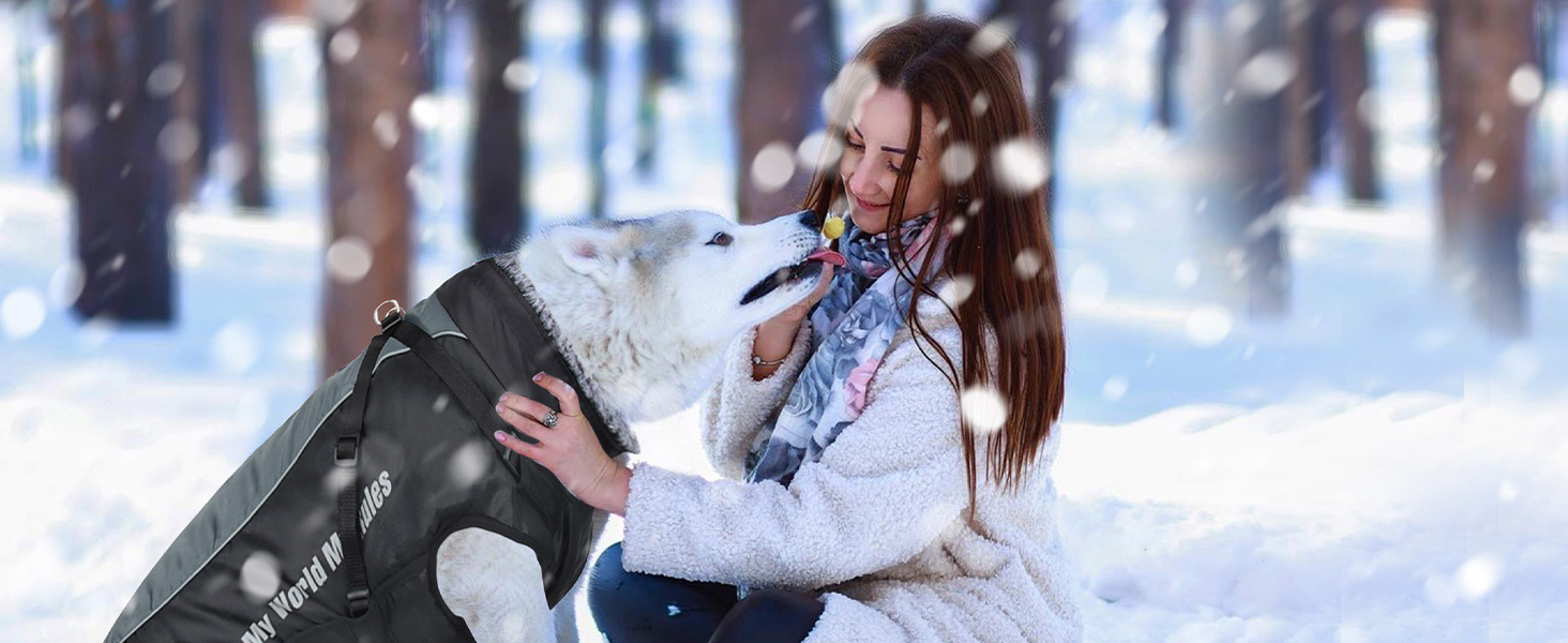 PETCUTE Водонепроникний зимовий одяг для собак, тепла куртка для маленьких та середніх собак, з кріпленням для повідка, 6XL, блакитний