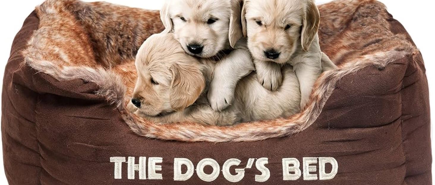 Ортопедичне ліжко для собак з memory foam, водонепроникне, кутове, середнього розміру, чорний плюш, для собак з артритом та дисплазією кульшових суглобів, терапевтичне та підтримуюче