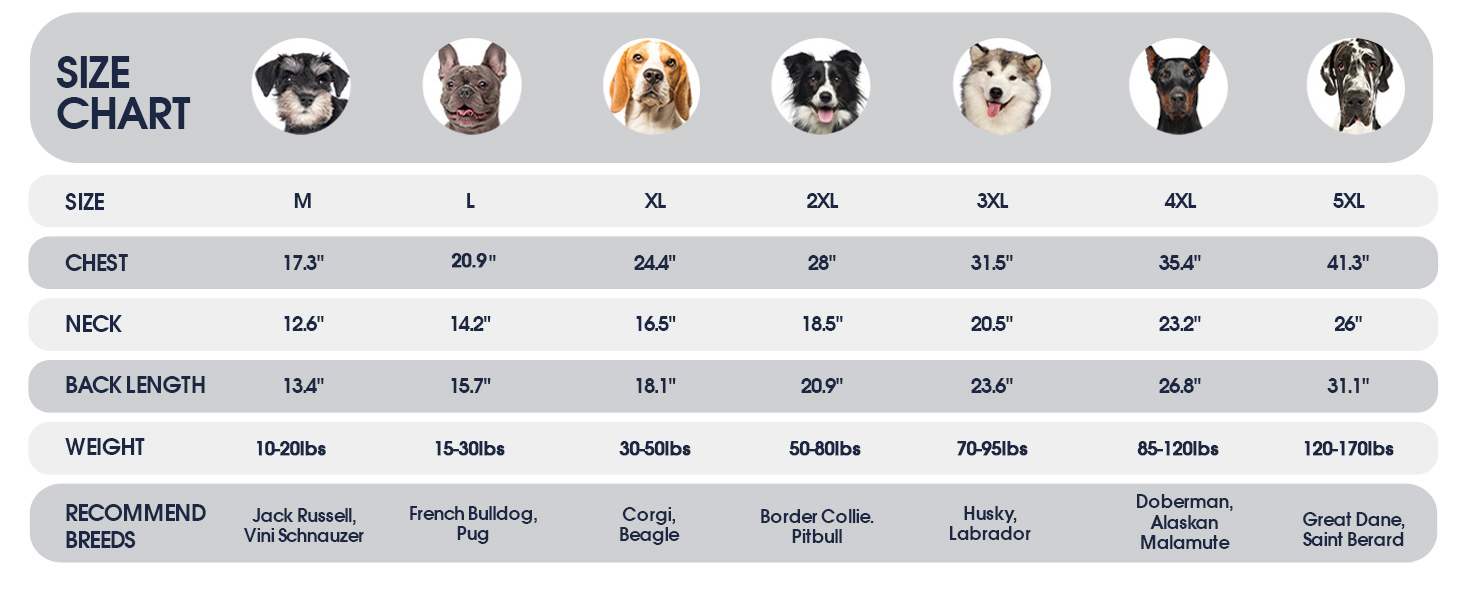 Пуловер для собак IECOii XXL, теплий зимовий пуловер для великих собак, блакитний, з ролетним коміром, для домашніх тварин, на Новий рік, розмір 2XL (обхват грудей 71 см)